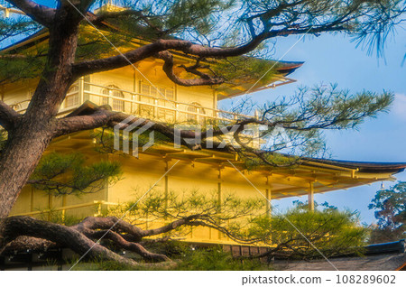 京都藍天映襯下的金閣寺美麗的金色光芒 108289602