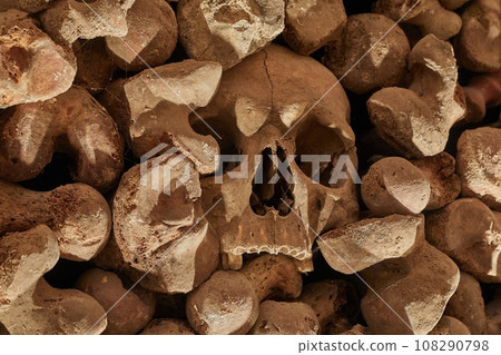 Skulls and bones in a wall 108290798