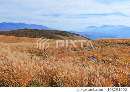 Autumn Venus Line Kirigamine 108291090