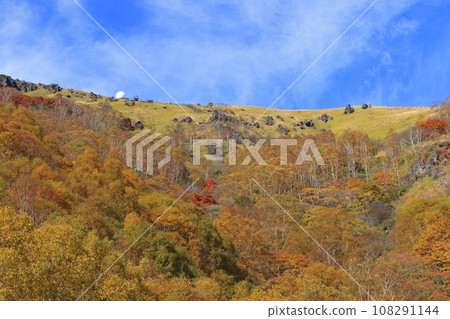 秋季金星線車山 秋季金星線車山 108291144
