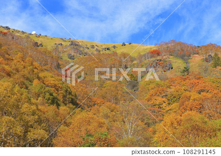 秋季金星線車山 秋季金星線車山 108291145