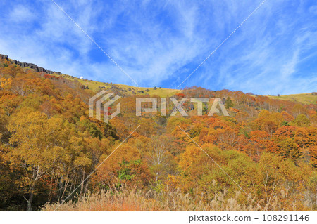 秋季金星線車山 秋季金星線車山 108291146
