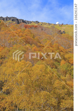 秋季金星線車山 秋季金星線車山 108291147