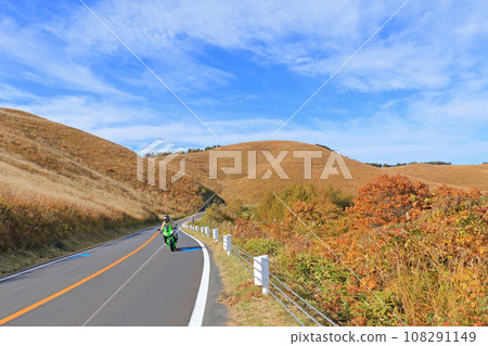 Autumn Venus Line Autumn Venus Line 108291149