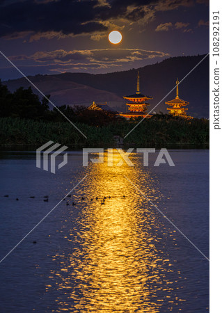 奈良西京都、藥師寺、月圓之夜、水面光路的鴨群① 奈良西京都、藥師寺、月圓之夜、水面光路的鴨群① 108292191