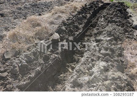 準備田間土壤，在土壤中製作堆肥 108293187