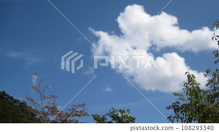 Green mountains and white clouds floating in the autumn sky Green mountains and white clouds floating in the autumn sky 108293340