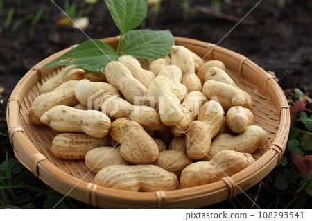Raw peanuts (2) Raw peanuts (2) 108293541