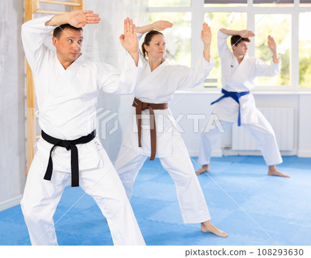 Athletes have starting position and repeating sequence of punches and painful techniques in kata Athletes have starting position and repeating sequence of punches and painful techniques in kata 108293630