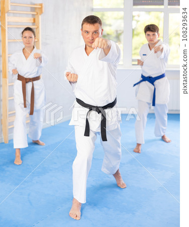 Athletes have starting position and repeating sequence of punches and painful techniques in kata Athletes have starting position and repeating sequence of punches and painful techniques in kata 108293634