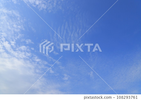 Invited by the cheerful spring Invited by the cheerful spring 108293761