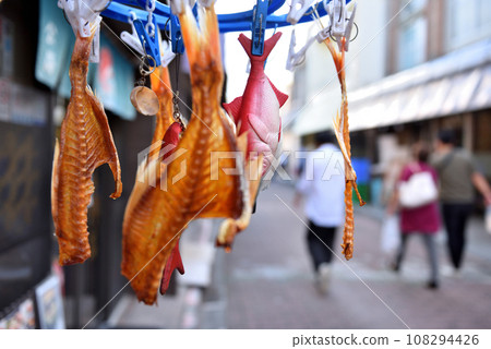 三浦岬商店街掛著假魚乾 三浦岬商店街掛著假魚乾 108294426