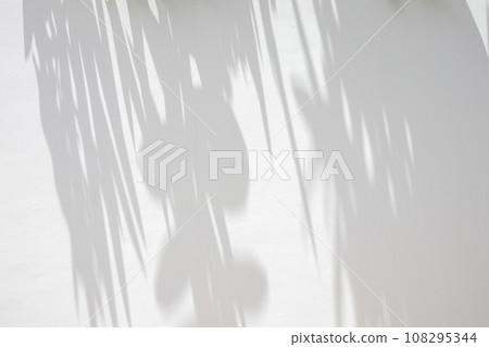 Abstract natural tree leaves on white wall background Abstract natural tree leaves on white wall background 108295344