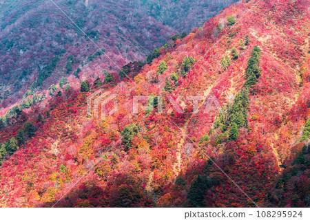 從谷川山看到的紅葉 108295924