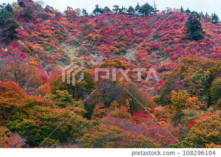 谷川山的秋葉 谷川山的秋葉 108296104