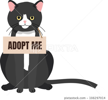 pet adoption and fostering concept. Homeless Furry Friend with Adoptable Collar. Black Cat with 'Adopt Me' Collar pet adoption and fostering concept. Homeless Furry Friend with Adoptable Collar. Black Cat with 'Adopt Me' Collar 108297014