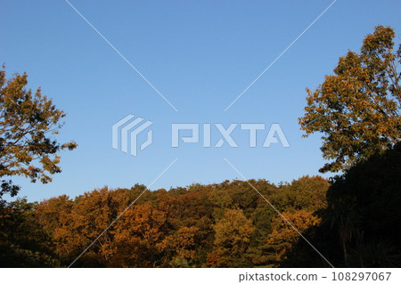Park clear sky 108297067