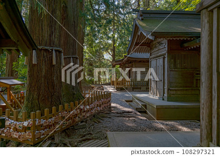 Miyazaki Takachiho Shrine couple cedar and shrine building Miyazaki Takachiho Shrine couple cedar and shrine building 108297321