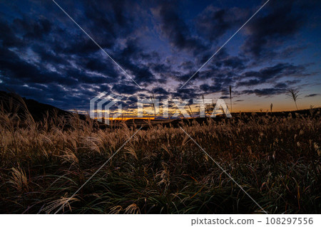 Susuki on the Soni Plateau, Soni Village, Nara Prefecture. The afterglow of the sunset and the faintly illuminated ears of Susukino on the mountainside 17:24 108297556