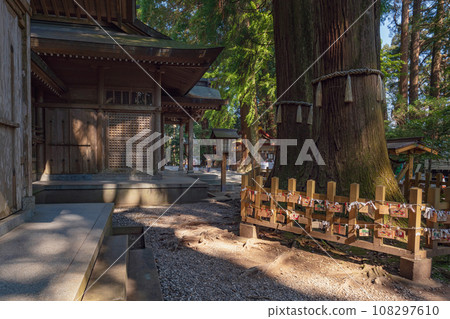Miyazaki Takachiho Shrine Couple Cedar and Worship Hall 108297610