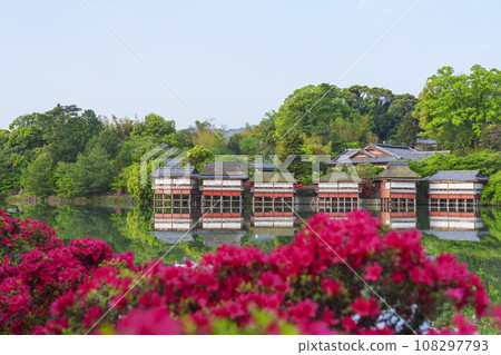 Nagaoka Tenmangu Shrine, Kirishima azalea in full bloom, Kinsuitei (Nagaokakyo City, Kyoto Prefecture) 108297793