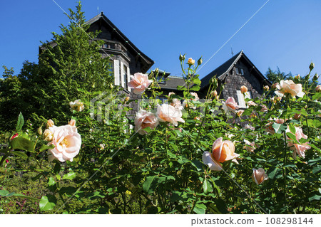 東京舊古河庭園 秋玫瑰景 都立庭園 108298144