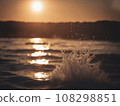 波浪和日落 108298851