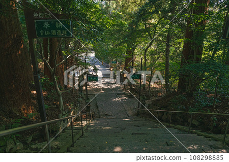 Miyazaki Takachiho Shrine approach in the forest Miyazaki Takachiho Shrine approach in the forest 108298885