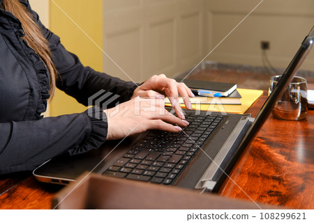 Female fingers typing on laptop Female fingers typing on laptop 108299621