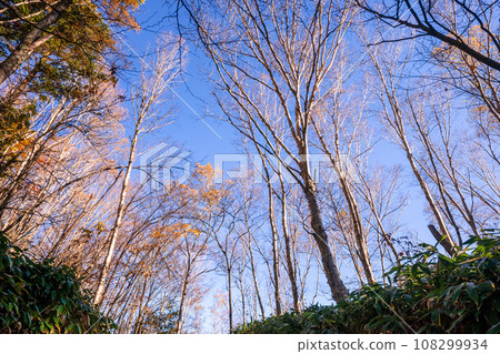 231030Mt. Norikura foothills156 108299934