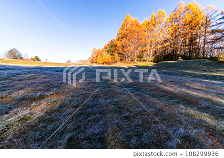 231030 乘鞍山麓152 231030 乘鞍山麓152 108299936