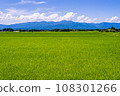 Japanese landscape of rice fields Japanese landscape of rice fields 108301266