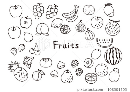 Simple fruit illustration set Simple fruit illustration set 108301503