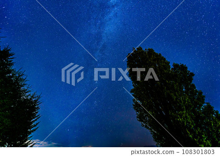 北海道美瑛町的星空～肯和瑪麗的樹～ 108301803