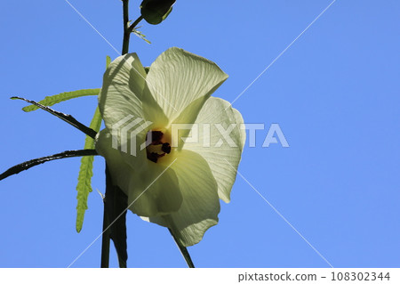 Trolloa oi Trolloa oi 108302344