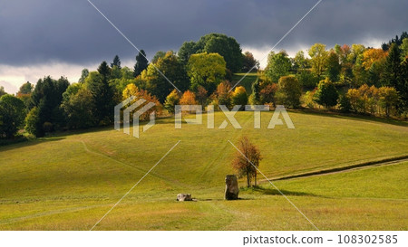 Beautiful autumn landscape. Colourful nature in autumn time. Highlands - Czech Republic. 108302585