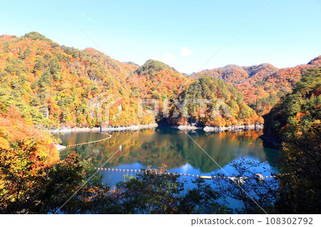 Autumn leaves of Lake Kawamata / Kawamata, Nikko City, Tochigi Prefecture 108302792