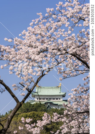 Nagoya Castle and Sakura (Yoshino cherry tree) 108303032