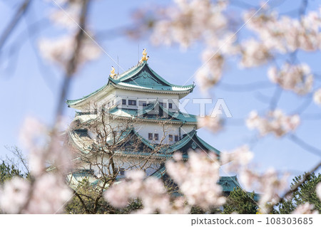 從名古屋城堡城堡塔到櫻花北側 108303685