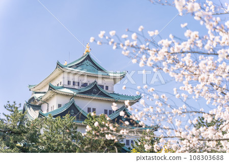 從名古屋城堡城堡塔到櫻花北側 108303688
