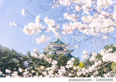 從名古屋城堡城堡塔到櫻花北側 108303696
