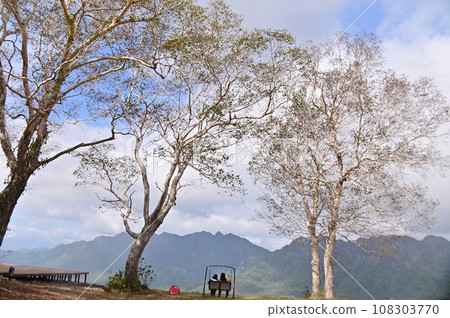 戶隱滑雪場觀景台和鞦韆周圍環繞著大白樺 108303770