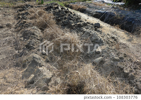 準備田間土壤,在土壤中製作堆肥 準備田間土壤,在土壤中製作堆肥 108303776