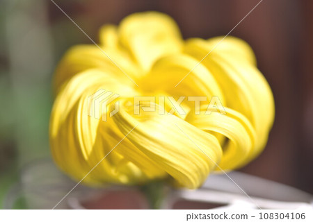 菊地滿 108304106