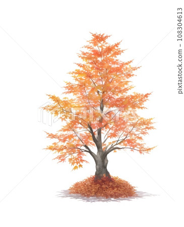 autumn tree isolated on white 108304613