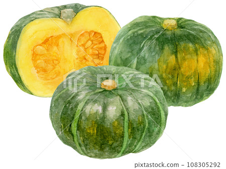 三片南瓜葉的水彩插圖，南瓜的橫切面 108305292