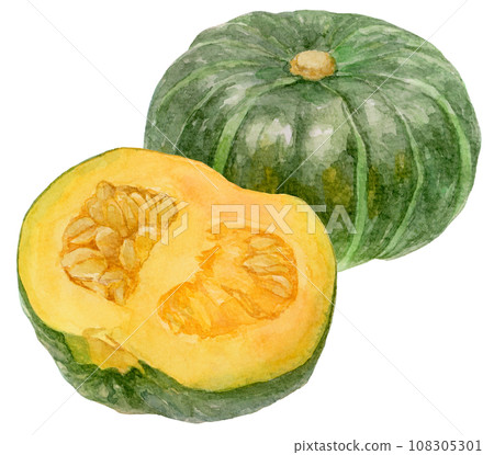 大南瓜和南瓜半切的水彩插圖 大南瓜和南瓜半切的水彩插圖 108305301