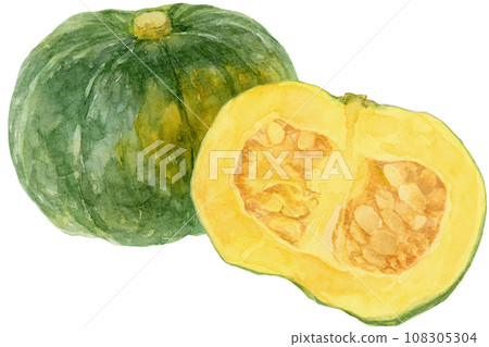 大南瓜和南瓜半切 3 的水彩插圖 108305304