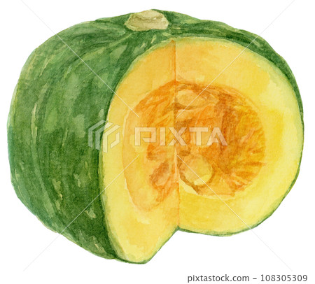 帶有凹口的南瓜的水彩插圖 108305309