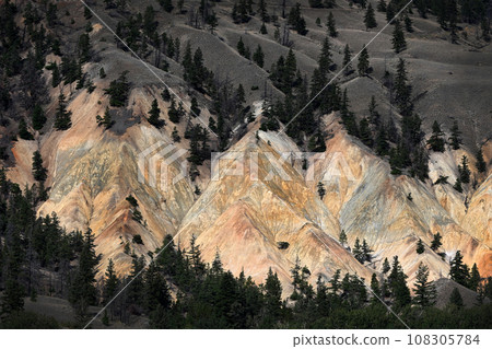 Landscape of Canada with Mountains. British Columbia landscape 108305784